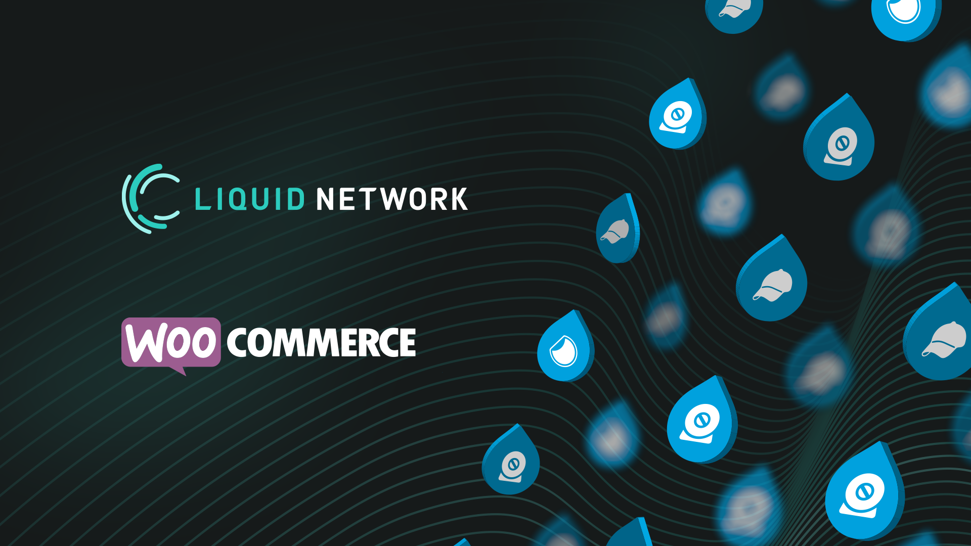 Liquid Assets Plugin for WordPress Now Available