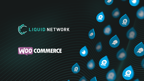 Liquid Assets Plugin for WordPress Now Available