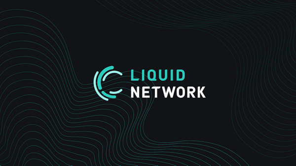 Liquid Hard Fork Diagnostic Report